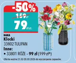 Biedronka BAKA Klocki oferta