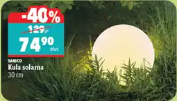 Biedronka SANICO Kula solarna 30cm oferta