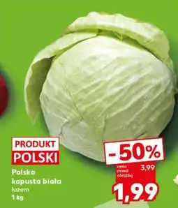 Kaufland Polska kapusta biała luzem 1 kg oferta