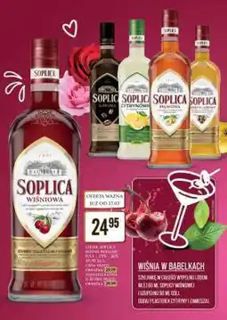 Dino Soplica Wiśniowa oferta