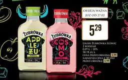 Dino ŻUBRÓWKA ICONIC oferta