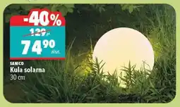 Biedronka Kula solarna oferta