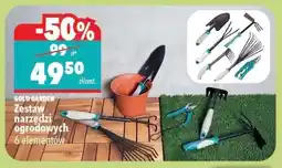 Biedronka GOLD GARDEN Zestaw narzędzi ogrodowych oferta