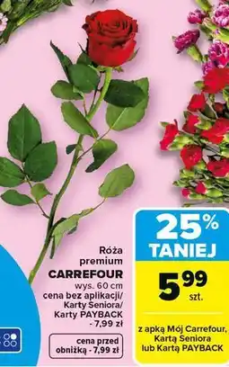 Carrefour Róża premium 60 cm Carrefour oferta