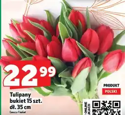 Topaz Tulipany bukiet 15 szt. dł. 35 cm oferta