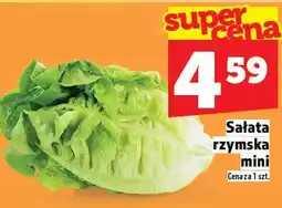 Topaz Sałata rzymska mini oferta