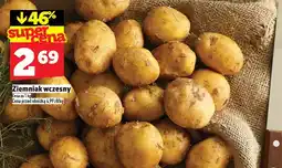 Topaz Ziemniak wczesny oferta