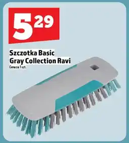 Topaz Szczotka Basic oferta