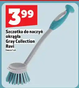 Topaz Szczotka do naczyń okrągła oferta