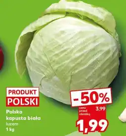 Kaufland Polska kapusta biała luzem oferta