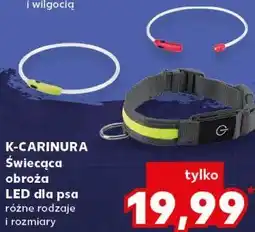 Kaufland K-CARINURA Świecąca obroża LED dla psa oferta