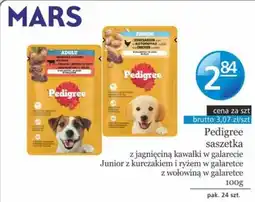 Specjał Pedigree saszetka oferta