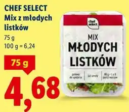 Lidl CHEF SELECT Mix z młodych listków oferta