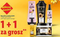 Lidl Wszystkie produkty GLISS oferta
