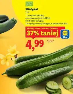 Lidl BIO Ogórki oferta