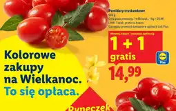Lidl Pomidory truskawkowe oferta