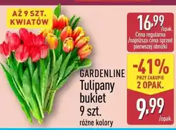 ALDI Tulipany bukiet 9 szt. różne kolory oferta