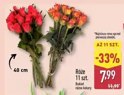 ALDI Róże bukiet różne kolory 11 szt oferta