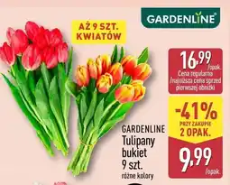 ALDI Tulipany bukiet różne kolory 9 szt oferta