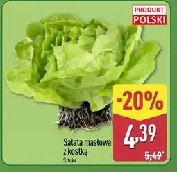 ALDI Sałata masłowa z kostką oferta