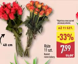 ALDI Róże oferta