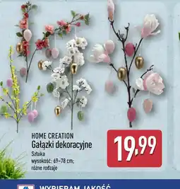 ALDI Home Creation Gałązki dekoracyjne oferta