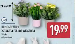 ALDI Home Creation Sztuczna roślina wiosenna oferta