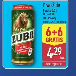 ALDI Piwo Zubr oferta
