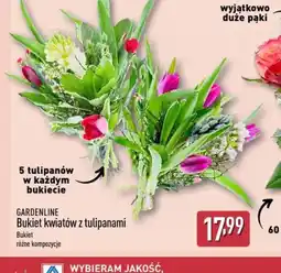 ALDI Gardenline Bukiet tulipanów oferta