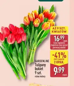 ALDI Gardenline Tulipany bukiet oferta