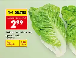 Biedronka Sałata rzymska mini oferta