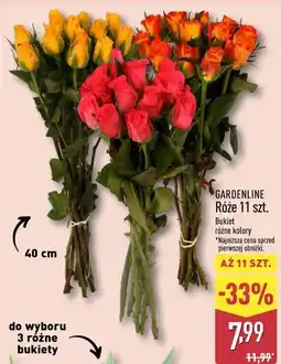 ALDI GARDENLINE Róże 11 szt oferta