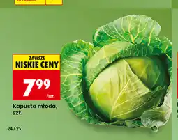 Biedronka Kapusta młoda, szt oferta