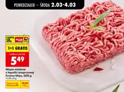 Biedronka Mięso mielone z łopatki wieprzowej Kraina Mięs oferta