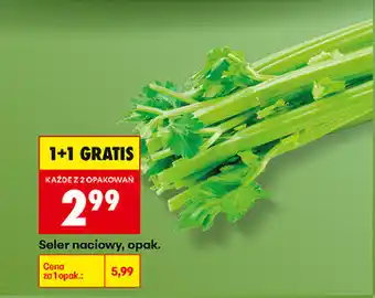 Biedronka Seler naciowy, opak oferta