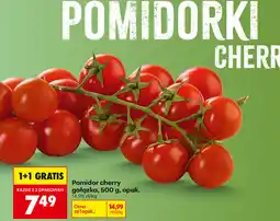 Biedronka Pomidor cherry gałązka, 500 g, opak oferta