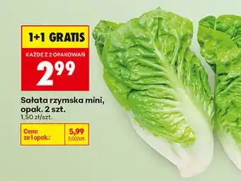 Biedronka Sałata rzymska mini, opak. 2 szt oferta