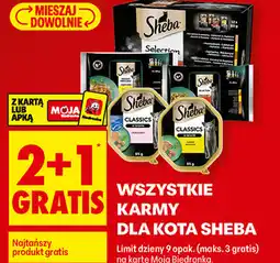 Biedronka Wszystkie karmy dla kota Sheba oferta