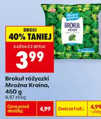 Biedronka Brokuł różyczki Mroźna Kraina oferta