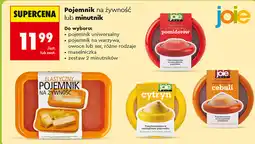 Biedronka Pojemnik na żywność lub minutnik joie oferta