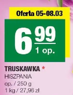 Truskawka hiszpania