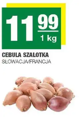 Spar Cebula szalotka oferta