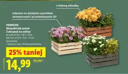 Lidl Skrzynka lub zestaw 2 skrzynek na rośliny oferta