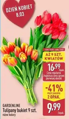 ALDI Tulipany bukiet 9 szt. różne kolory oferta
