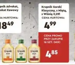 Specjał Krupnik Gorzki Klasyczny, z Miętą, z Wiśnią oferta