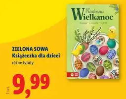 Lidl ZIELONA SOWA Książeczka dla dzieci Wielkanoc oferta