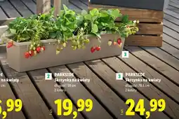 Lidl PARKSIDE Skrzynka na kwiaty długość: 78,5 cm oferta
