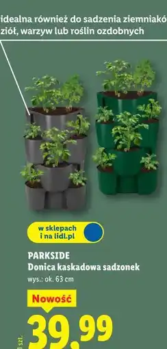 Lidl PARKSIDE Donica kaskadowa sadzonek oferta