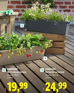 Lidl PARKSIDE Skrzynka na kwiaty długość: 59 cm oferta