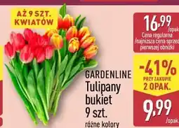 ALDI GARDENLINE Tulipany bukiet 9 szt oferta